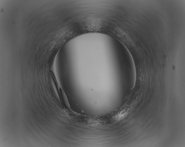 X0000067390697200603311259