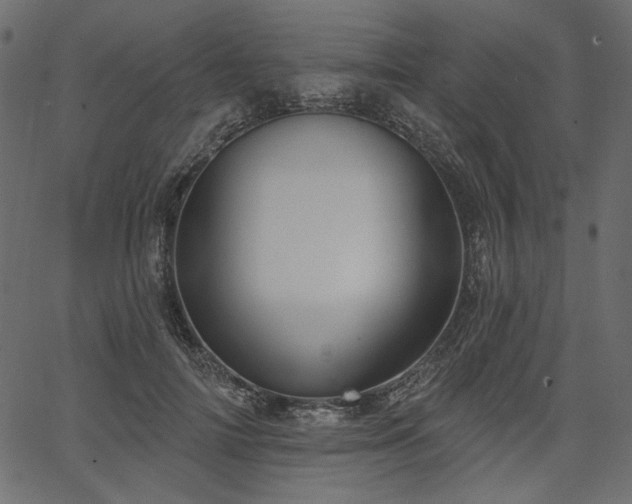 X0000067390698200603311259