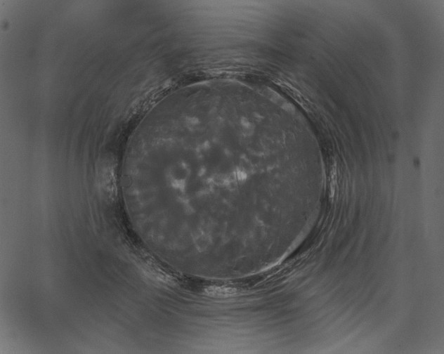 X0000067390699200603311259