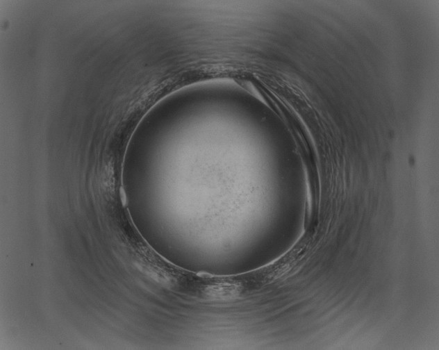 X0000067390700200603311259