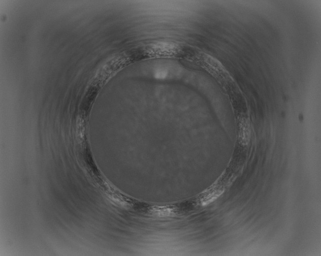 X0000067390701200603311259