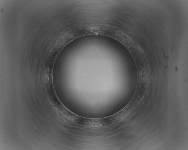 X0000067390702200603311259