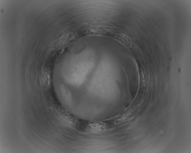 X0000067390703200603311259