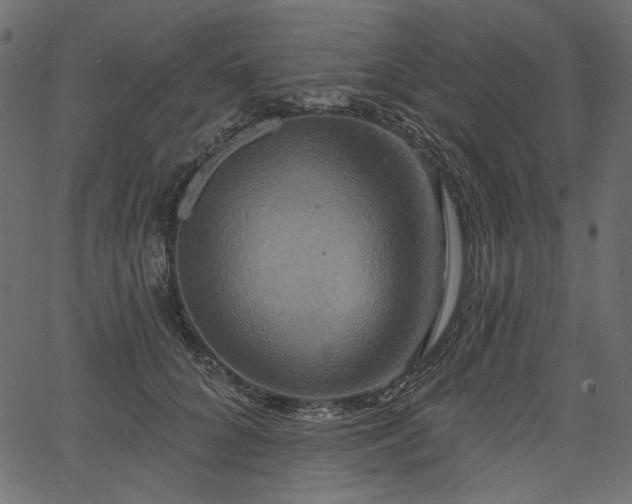 X0000067390704200603311259