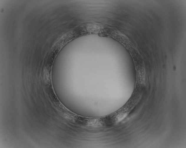 X0000067390705200603311259