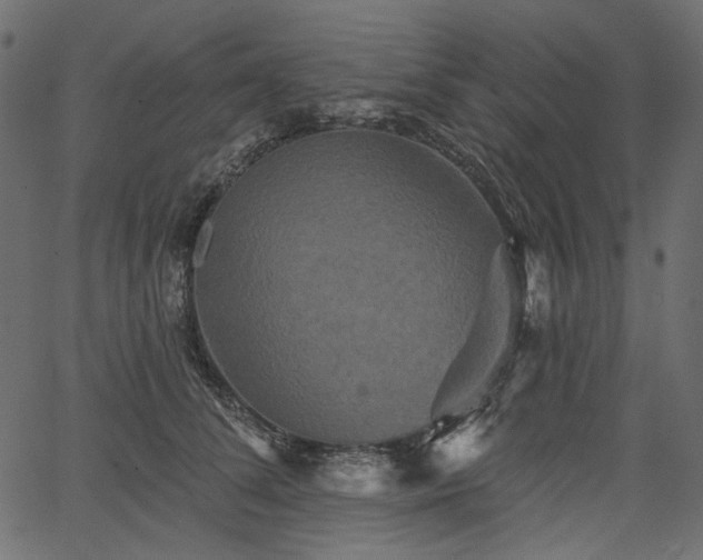 X0000067390708200603311259