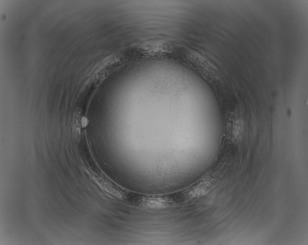 X0000067390710200603311259