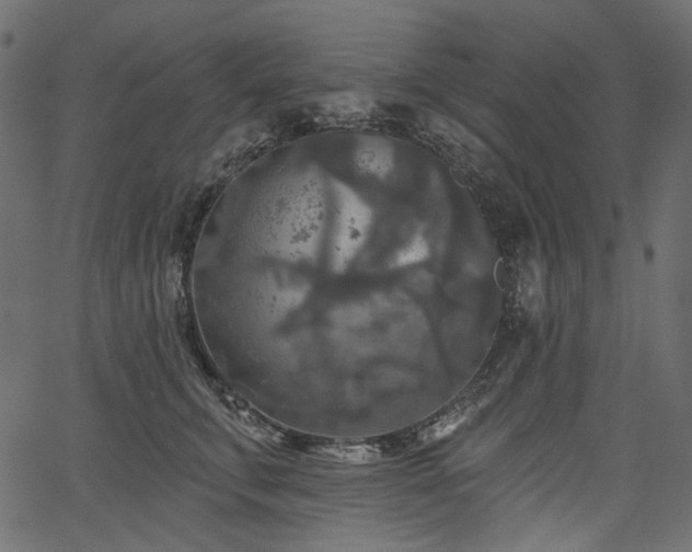 X0000067390711200603311259