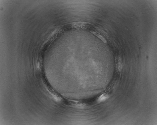 X0000067390712200603311259