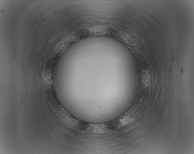 X0000067390713200603311259