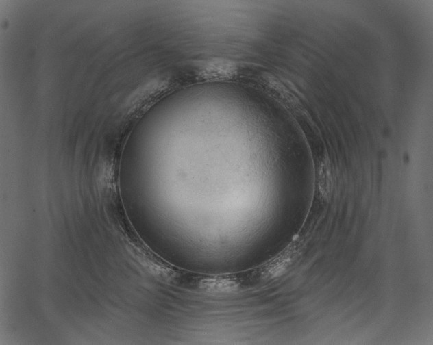 X0000067390714200603311259