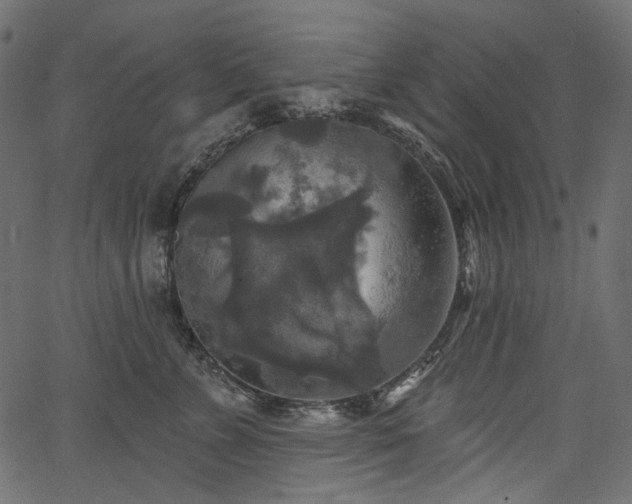 X0000067390715200603311259