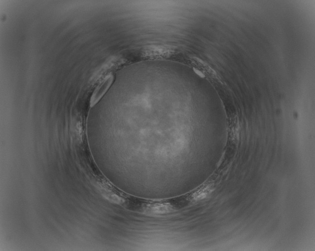 X0000067390716200603311259