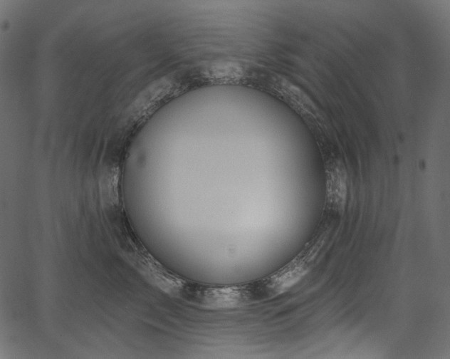 X0000067390717200603311259