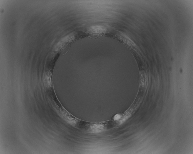 X0000067390718200603311259