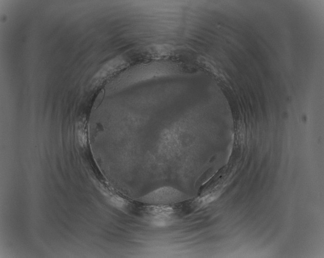 X0000067390719200603311259