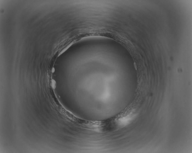 X0000067390720200603311259