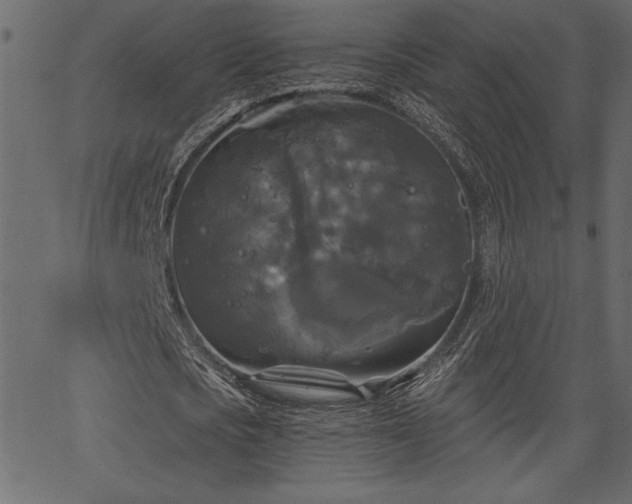 X0000067390721200603311258