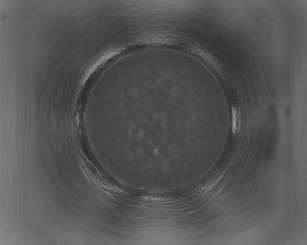 X0000067390723200603311258