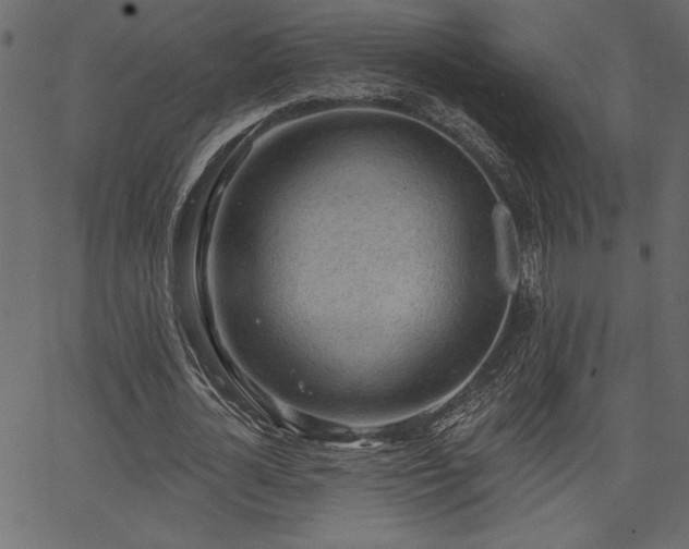 X0000067390724200603311258