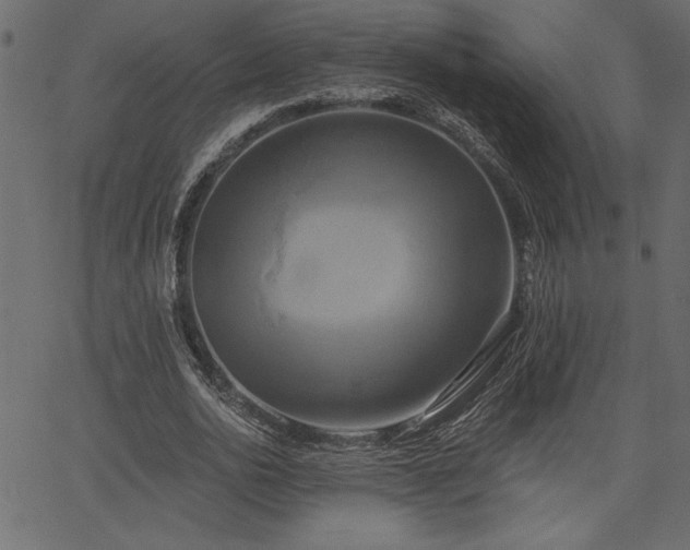 X0000067390726200603311258