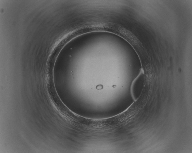 X0000067390728200603311258