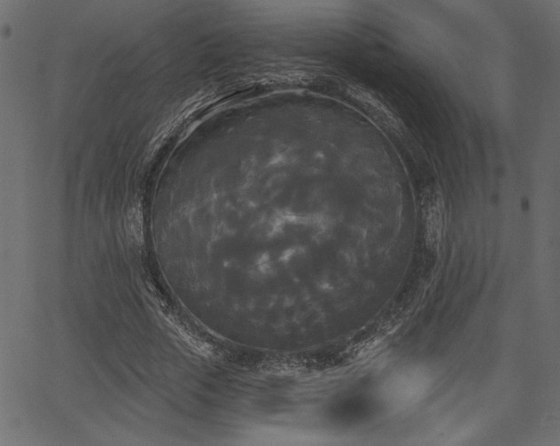 X0000067390729200603311258