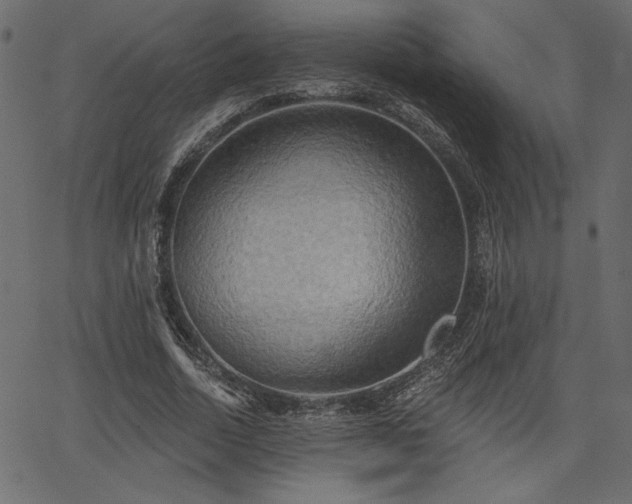 X0000067390730200603311258