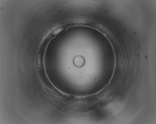 X0000067390731200603311258