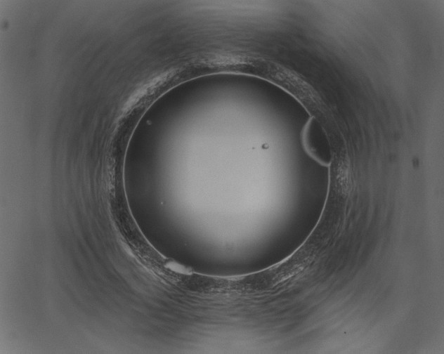 X0000067390732200603311258