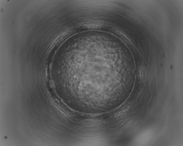 X0000067390733200603311258