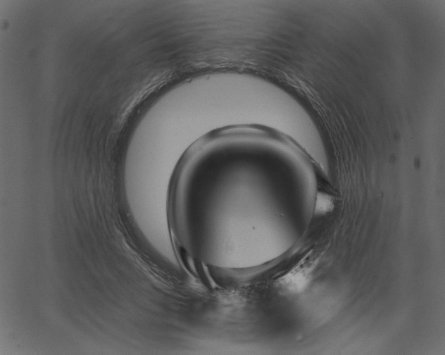 X0000067390735200603311258