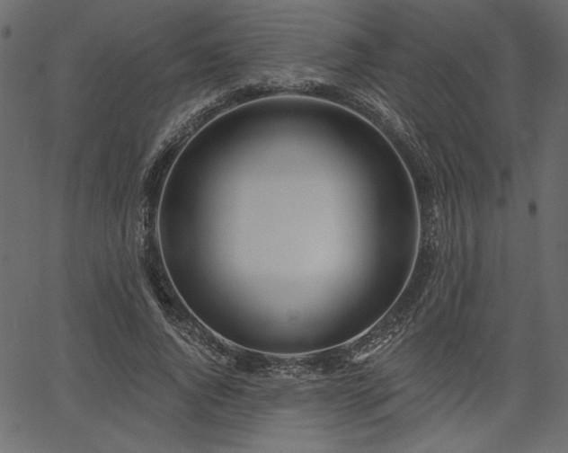 X0000067390736200603311258