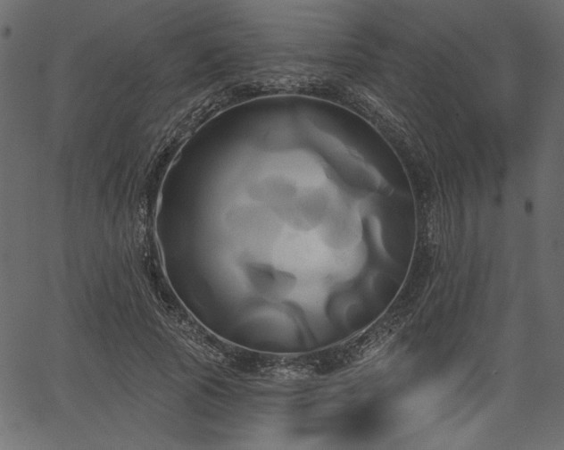 X0000067390737200603311258