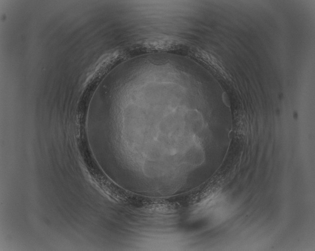 X0000067390738200603311258