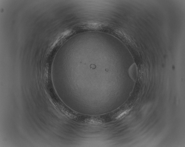 X0000067390739200603311258