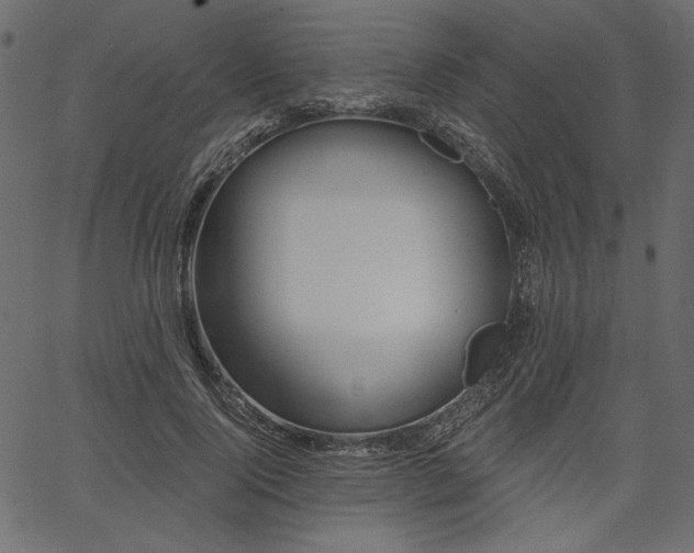 X0000067390740200603311258