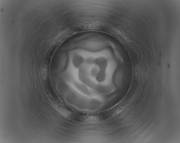 X0000067390741200603311258