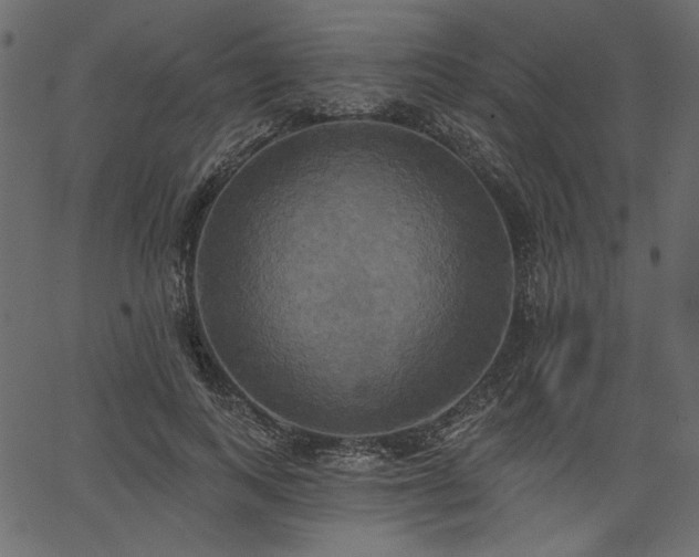 X0000067390743200603311258