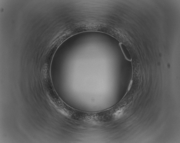 X0000067390744200603311258