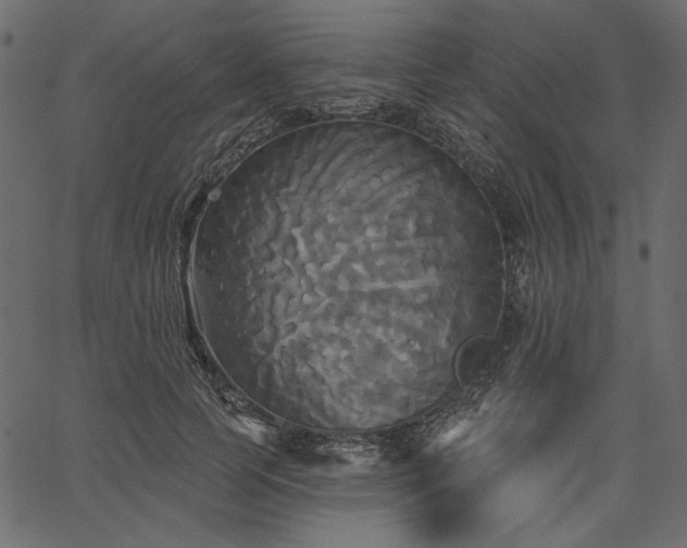 X0000067390745200603311258