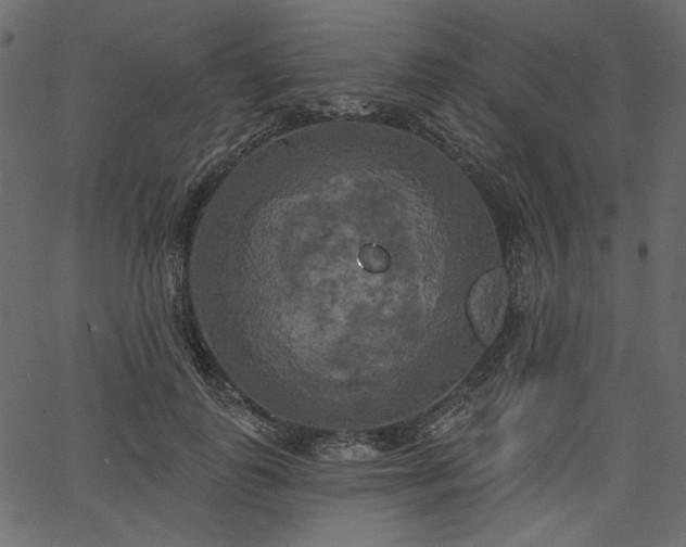 X0000067390747200603311258