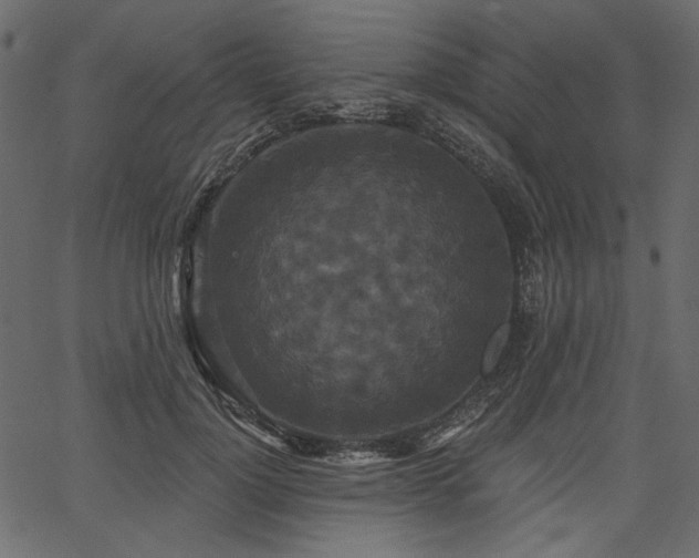 X0000067390748200603311258