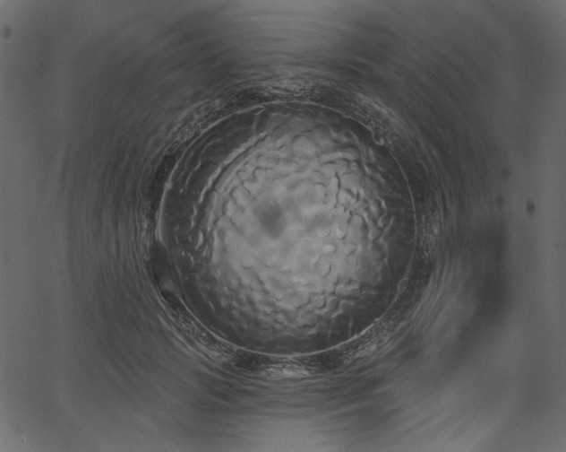 X0000067390749200603311258