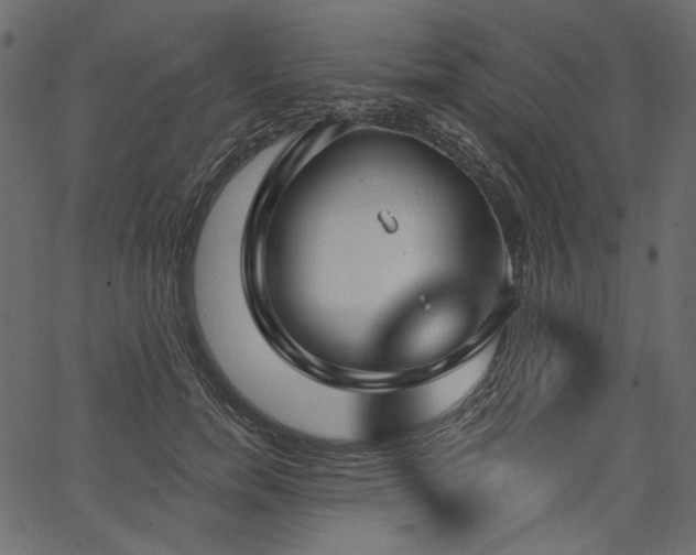 X0000067390750200603311258