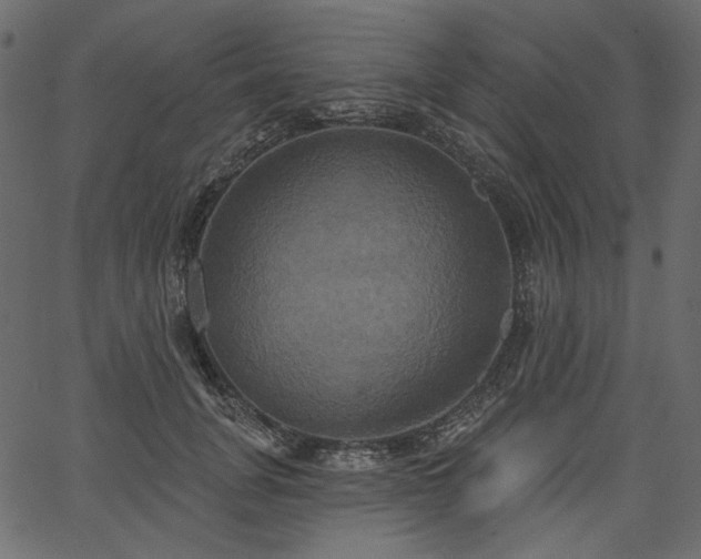 X0000067390751200603311258