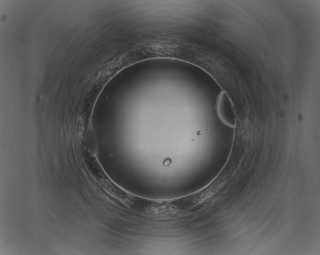 X0000067390752200603311258