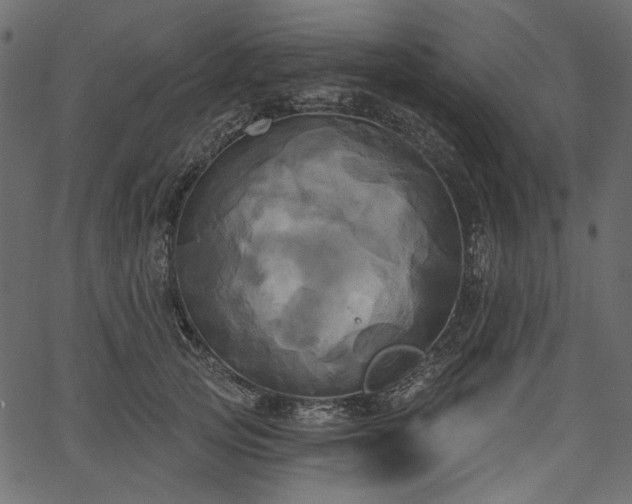 X0000067390753200603311258