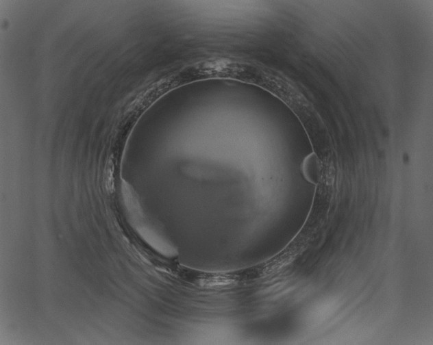 X0000067390754200603311259