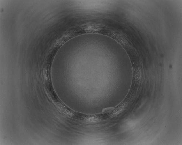 X0000067390755200603311259